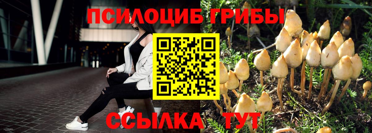 Псилоцибиновые грибы Magic Shrooms Богданович