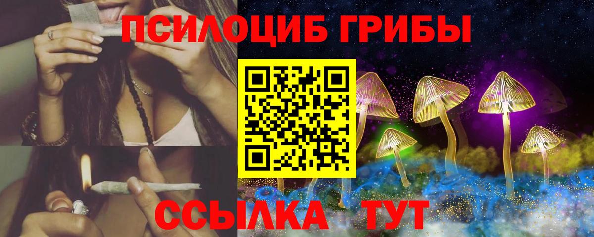 Галлюциногенные грибы MAGIC MUSHROOMS  Вход с VPN  Богданович 